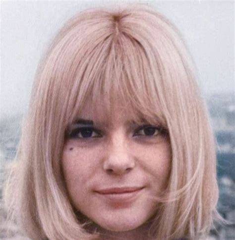 France Gall French Pop Edith Piaf Francoise Hardy Hamsters Cut And