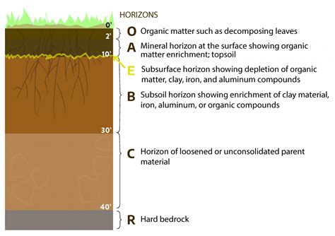 Chapter 2 Soils And Nutrient Management Virginia Cooperative