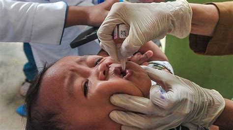 Pelaksanaan Pekan Imunisasi Nasional Polio Di Berbagai Daerah Foto