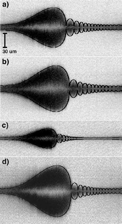 Figure 1 from Single-bubble sonoluminescence in air-saturated water ...