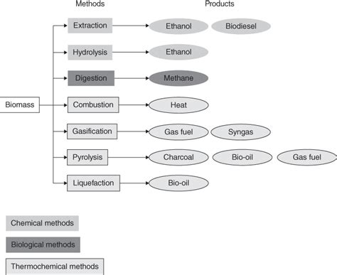 11 Thermochemical Processes For The Transformation Of Biomass Into Biofuels Process Systems