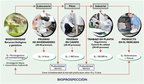 Bioprospecci N Agosto