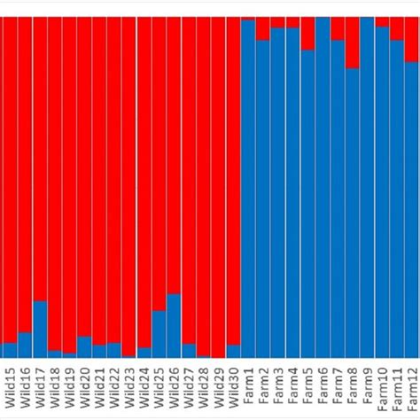 Population Structure According To Admixture Analysis K