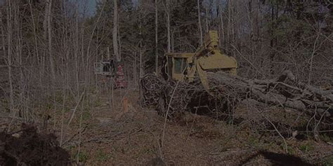 Paul Mitchell Logging Logging Land Clearing And Excavating