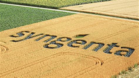 Syngenta Adhirió A Los Principios De Empoderamiento De Las Mujeres De