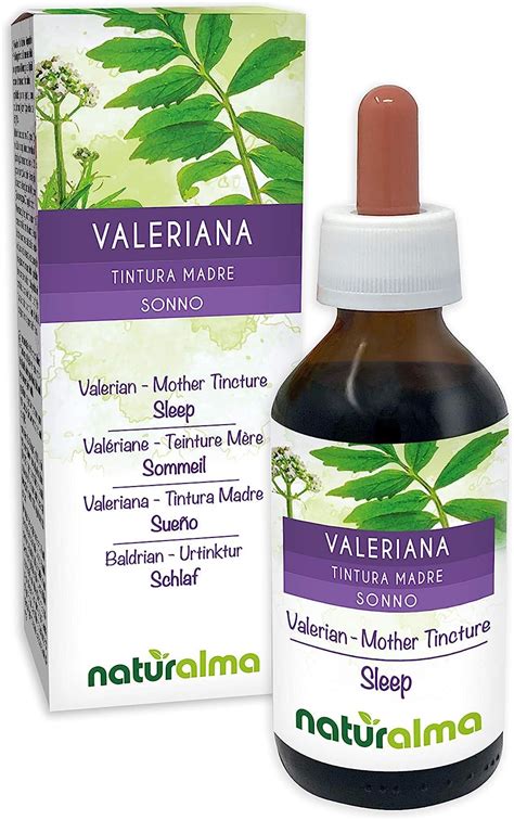 Baldrian Valeriana Officinalis Wurzeln Alkoholfreier Urtinktur