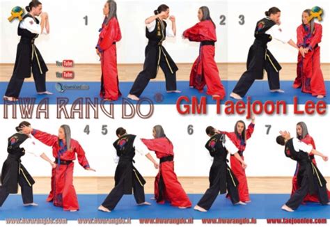 Korean Martial Arts Lineage World Hwa Rang Do® Association