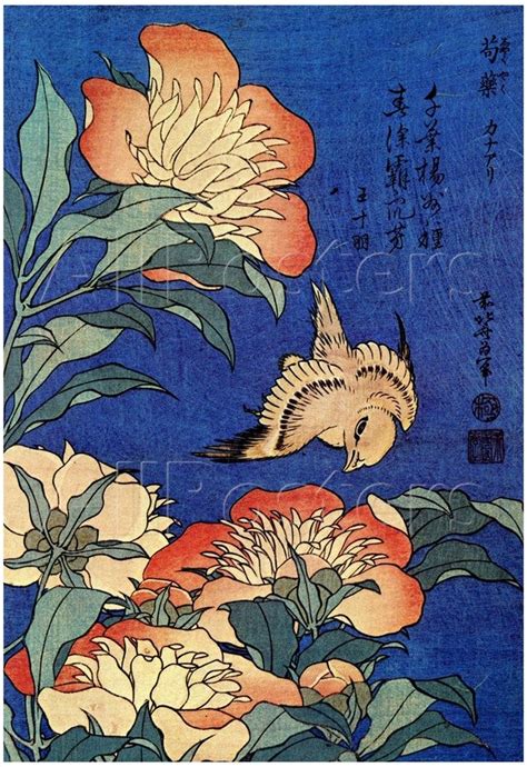 Katsushika Hokusai A Bird And Flowers Art Poster Print Posters