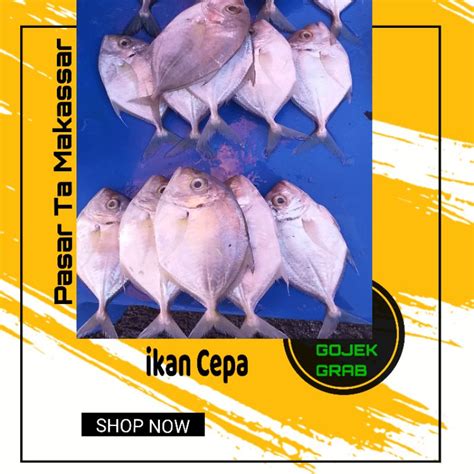 Jual Ikan Cepa Ikan Bete Bete Perpaket Isi 3 Ekor Atau Lebih Tergantung