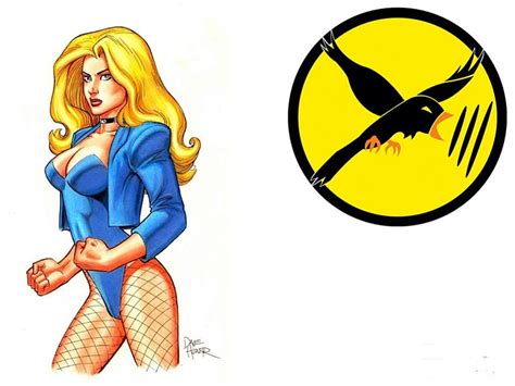 Black Canary Dc Comics Comics Superheroes Hd Wallpaper Peakpx