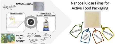 Schematic Of The Preparation Of Nanocellulose Films Via Solvent Casting