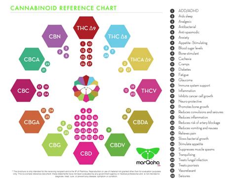 CBD vs CBN vs CBG vs CBC | Planet R.Y.O.