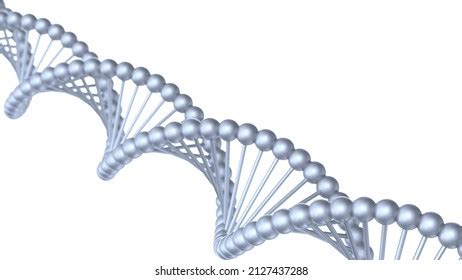 Science Molecular Silver Dna Model Structure Stock Illustration