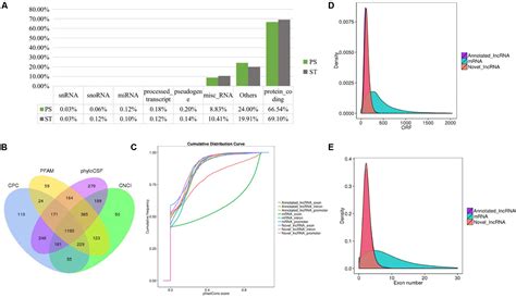 Frontiers Comprehensive Genomic Characterization Analysis Of LncRNAs