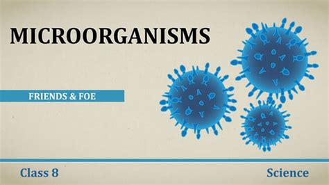 Microorganisms Class 8 Ppt