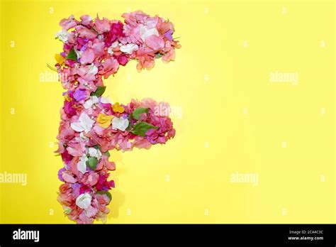 Floral Font Letter F High Resolution Stock Photography And Images Alamy