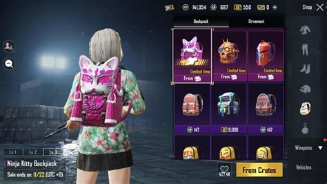 Top Latest Pubg Bag Skins To Buy In Pubg Mobile Season