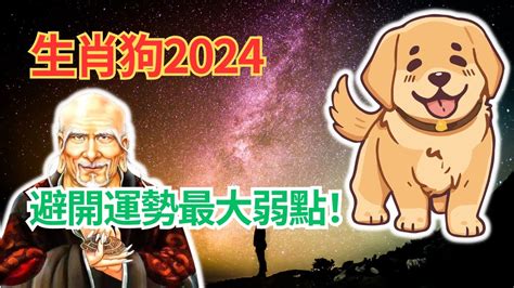 屬狗人請注意！這是你2024年的最大挑戰，你知道嗎？這也是你的最大運勢弱點！克服它，就能迎來一年好運！ 2024年生肖狗運程 2024年屬