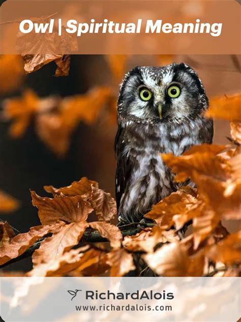 Owl Meaning Spiritual Symbolism A Powerful Spirit Animal Artofit