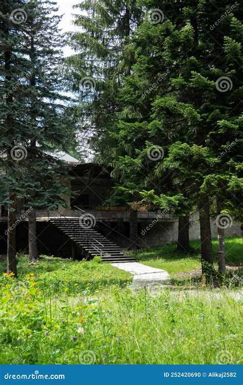 Abandoned House in the Forest Stock Photo - Image of archeology ...