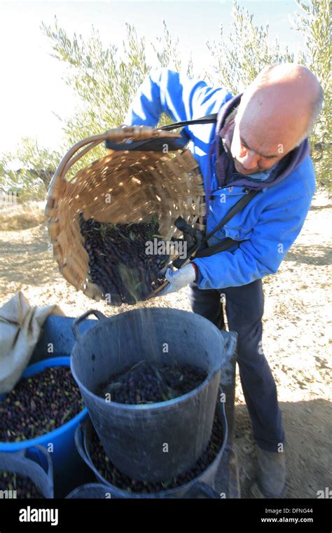 Trabajo Agricola Hi Res Stock Photography And Images Alamy