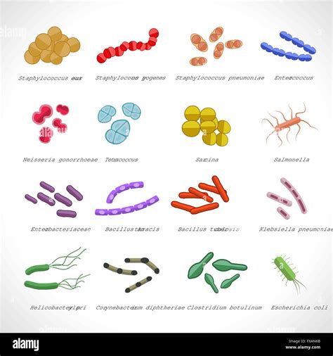 Bacteria Icons Set Stock Vector Image Art Alamy