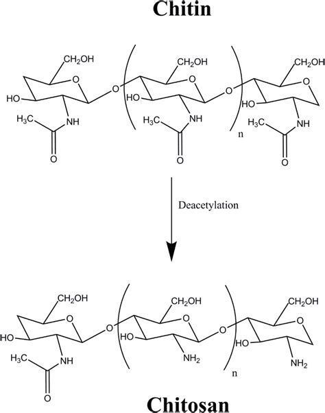 Figure 1 1 From Preparation And Characterization Of Cross Linked