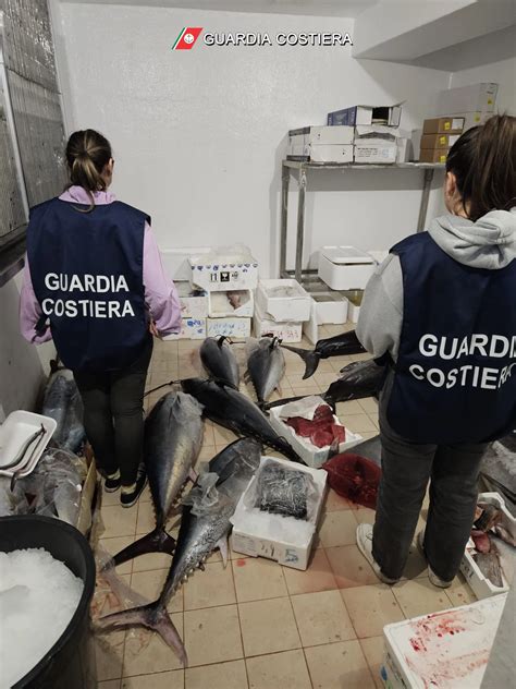 Pesca Illegale A Catania La Guardia Costiera Sequestra Oltre Mezza