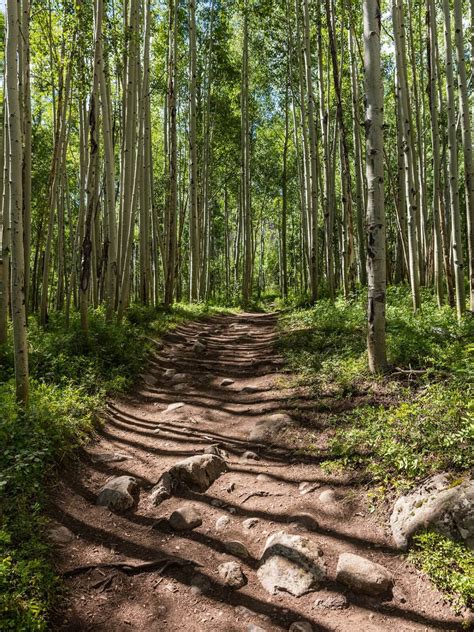 Hiking And Running Town Of Frisco