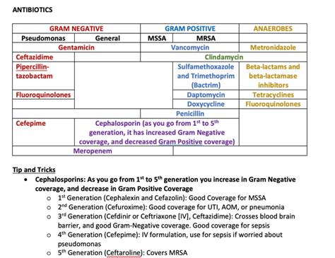 Antibiotic Cheat Sheet Etsy