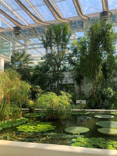 Cliveden House And Gardens In Winter Wunderhead Travel Blog