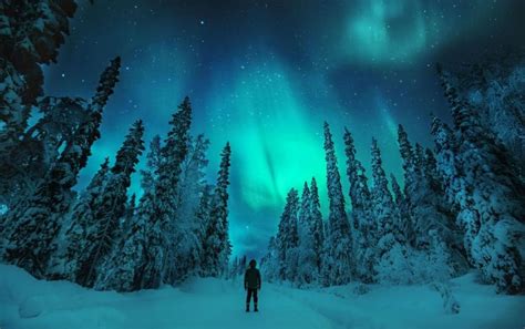 Dónde y Cuándo Ver Auroras Boreales en Finlandia