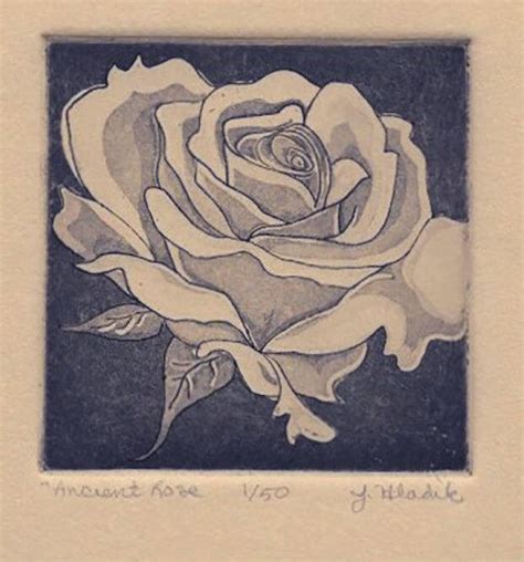 Aquatint Etching Ancient Rose Classic Romantic Edwardian 150 7 X 9 Inches Etsy