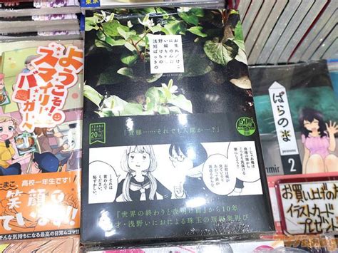 画像 COMIC ZIN秋葉原店に入荷した浅野いにお短編集 ばけものれっちゃんきのこたけのこ