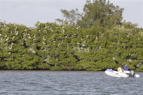 Views Of The Indian River Lagoon Florida Editorial Photo Image Of