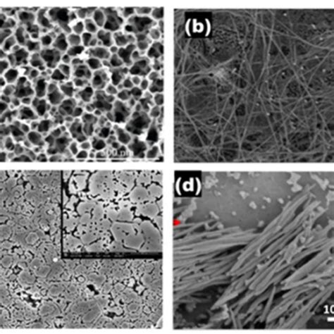 Sem Images Of A Porous Gan B Gan Nanowires C Porous Ingan And