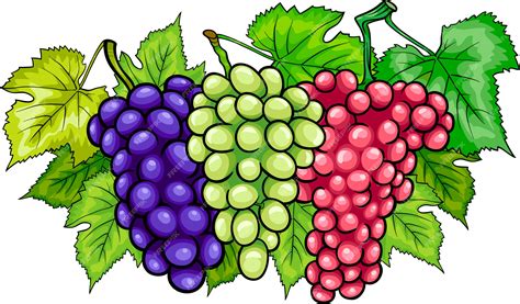 Racimos De Uvas Dibujos Animados Ilustración Vector Premium