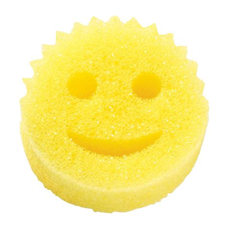 Scrub Daddy Shark Tanks Biggest Success Story Review