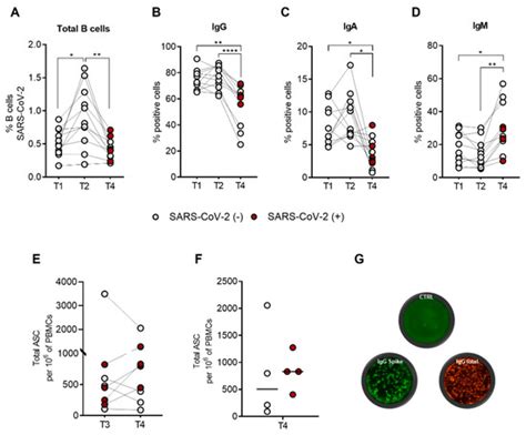 Ijms Free Full Text Long Term Effectiveness Of Bnt162b2 Pfizer Biontech Mrna Based Vaccine