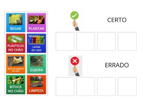 Meio Ambiente Certo E Errado Classifica O Em Grupos