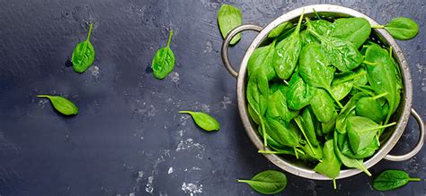 Does Spinach Aid In Hair Growth?