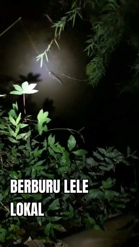 Mancing Malamshorts Feedshorts Mancing Strike Youtube
