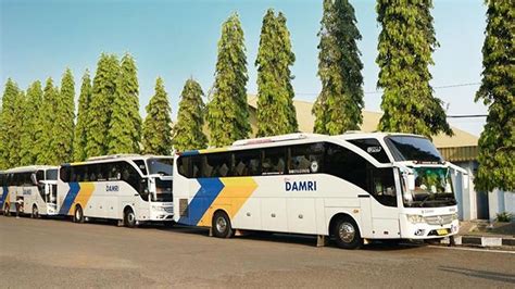 Damri Buka Rute Baru Stasiun Whoosh Tegalluar Ke Mall Kota Bandung Ini