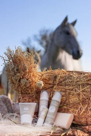 Idée cadeau lait de jument le meilleur de camargue pour votre peau