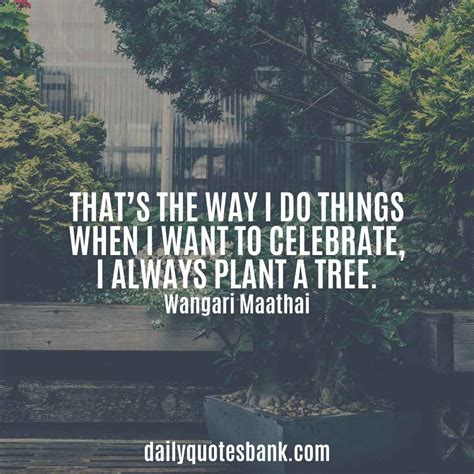 100 Inspirational Quotes About Planting Trees For Future Generations