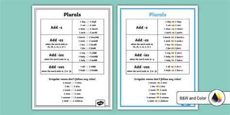 Making Plurals Poster For Ell Teacher Made Twinkl