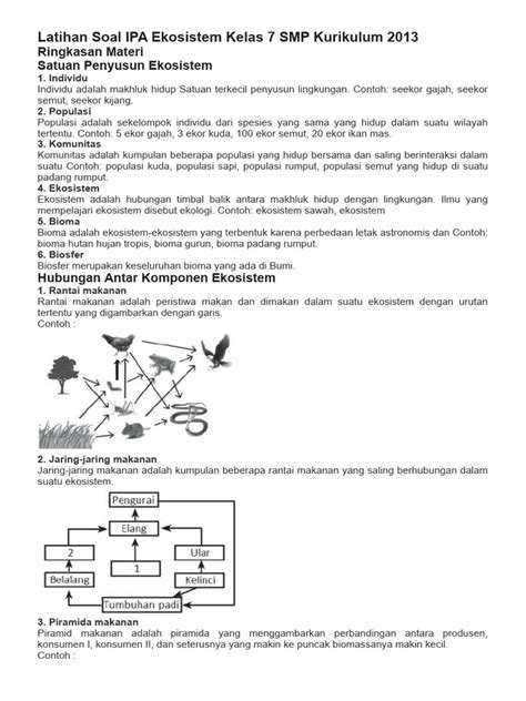 Latihan Soal Ipa Ekosistem Kelas 7 Smp Kurikulum 2013 Pdf