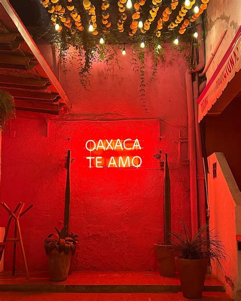 Emily Hill (@emmannhill) • Instagram photos and videos