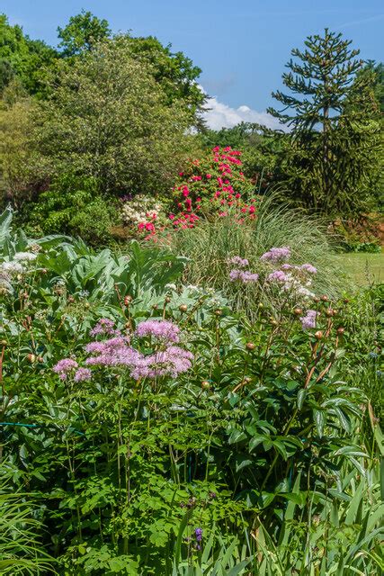 Exbury Gardens Ian Capper Geograph Britain And Ireland