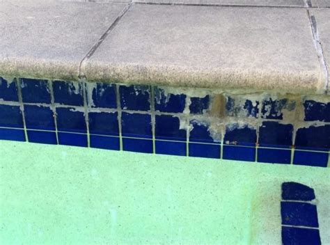 Calcium On Swimming Pool Tiles Remove Without Draining The Pool